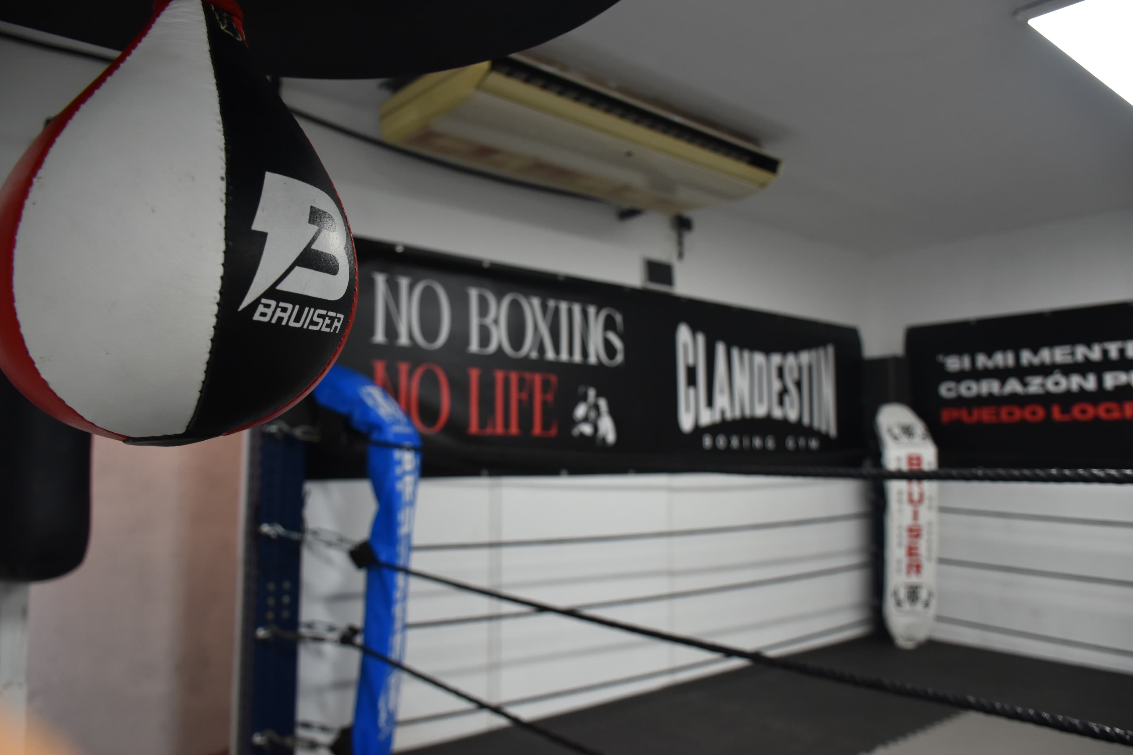 Interior del gimnasio